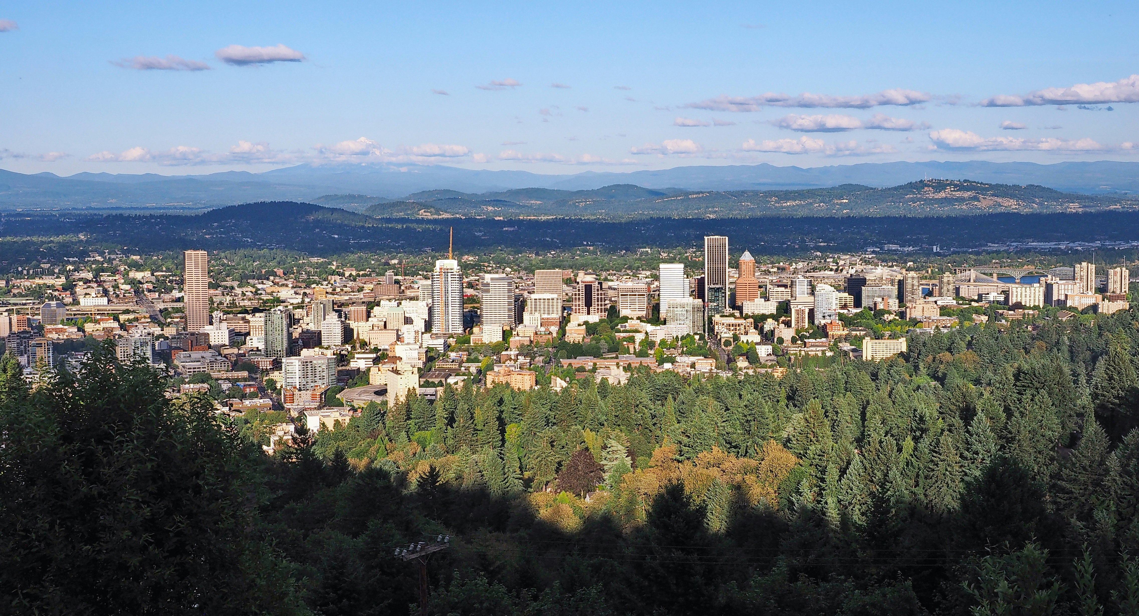 aerial view of city landscape during daytime